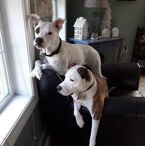 Meet your Posher, Sandra